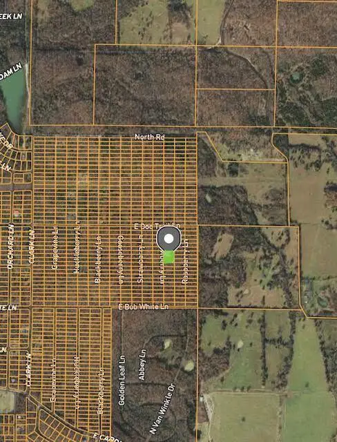 1412 Dewberry Lane, Horseshoe Bend, AR 72512 - #1