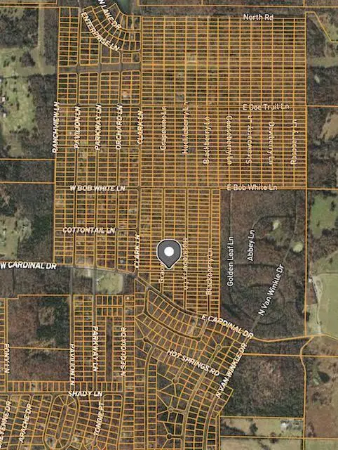 1102 Grapevine Lane, Horseshoe Bend, AR 72512 - #1