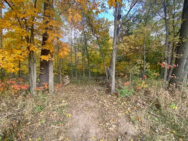 347 Dry River Court, Springfield, MO 65803 - Image #2