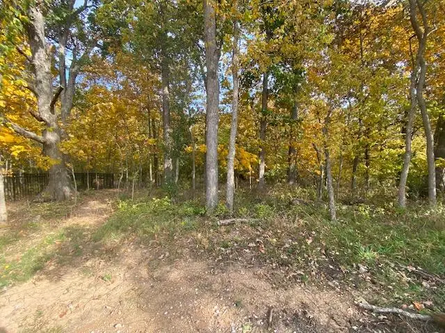 419 Dry River Court, Springfield, MO 65803 - #2