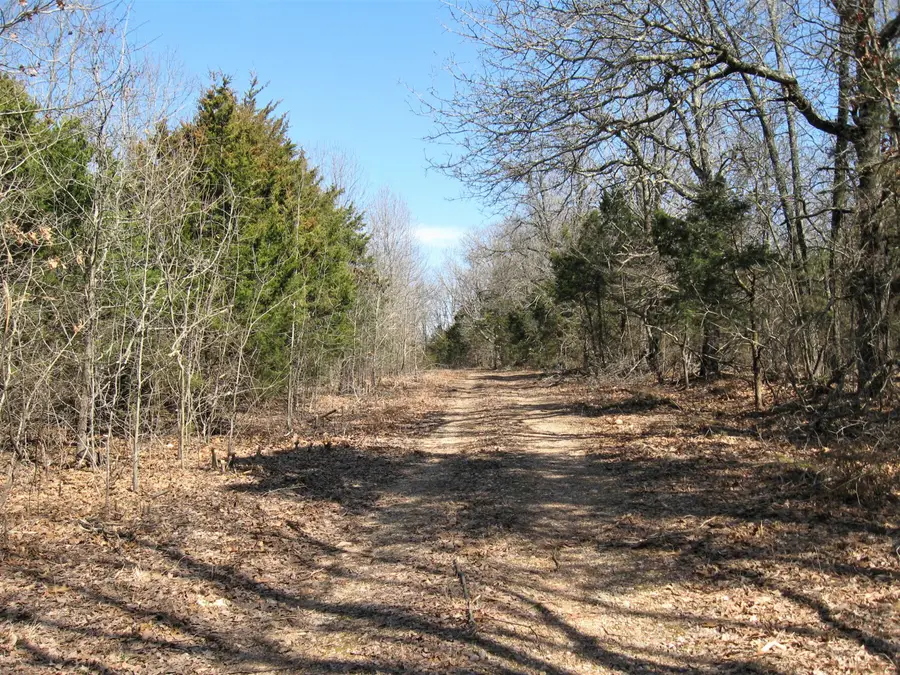 17650 Superior Road Road, Saint Robert, MO 65584 - Image #3