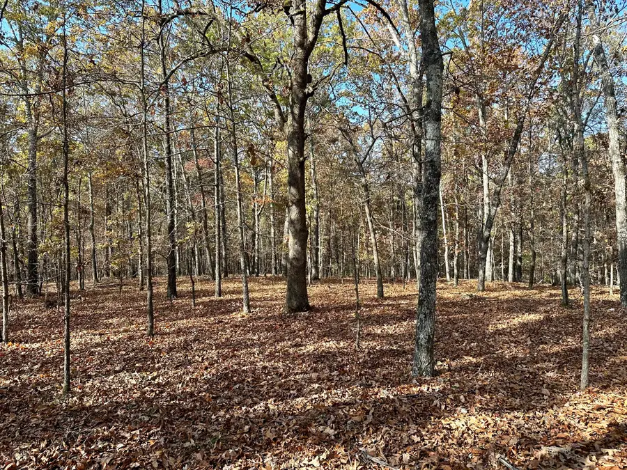 000 Route Z Highway, Van Buren, MO 63965 - Image #2