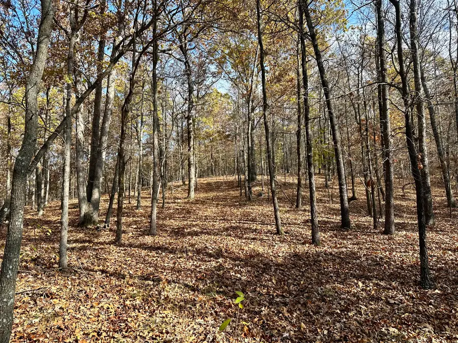 000 Route Z Highway, Van Buren, MO 63965 - Image #3