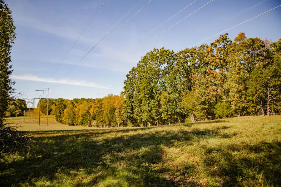 006 Highway 32, Stockton, MO 65785 - Image #2