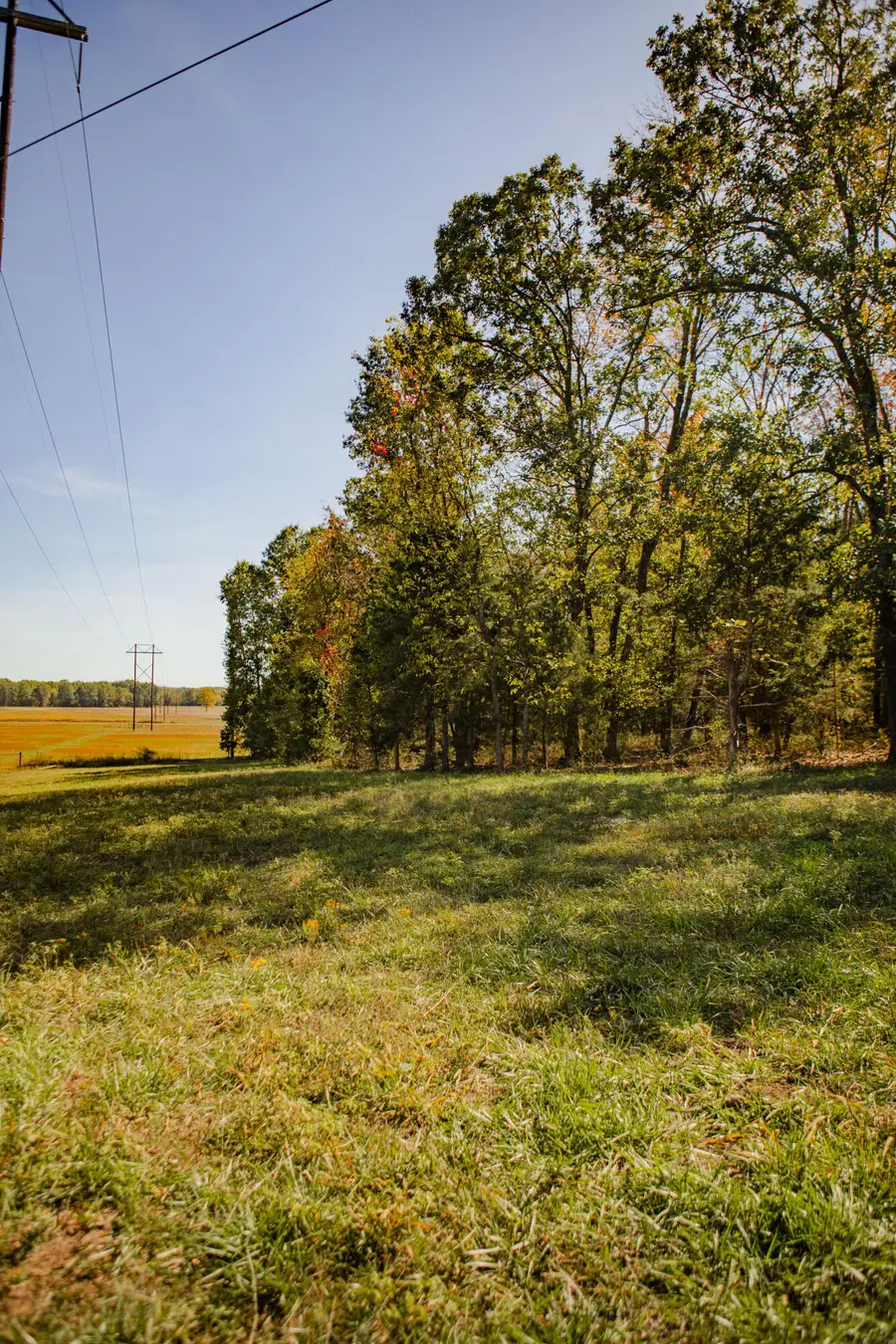 006 Highway 32, Stockton, MO 65785 - Image #3