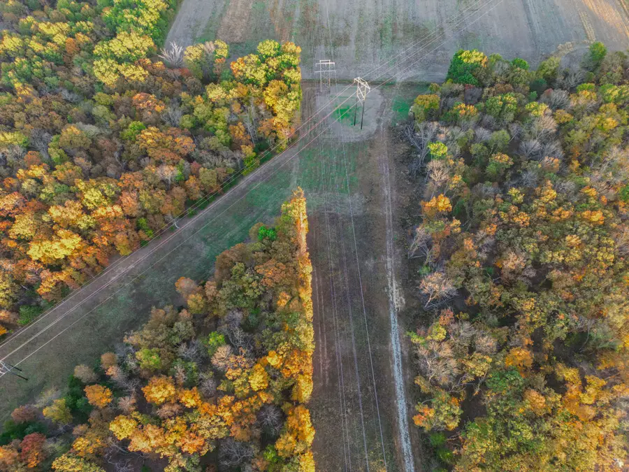 007 Highway 32, Stockton, MO 65785 - Image #3