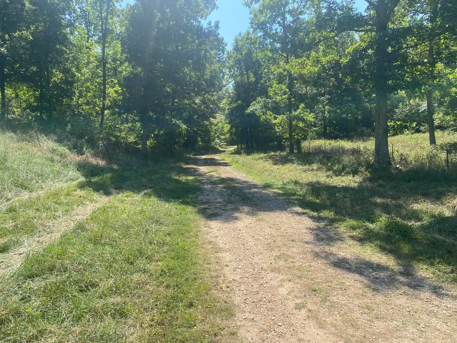 000 County Road 550, Ellington, MO 63638 - Image #3