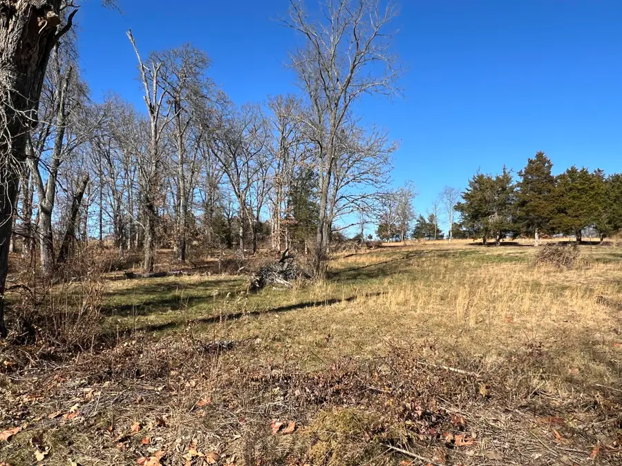 6 S Center Street, Willow Springs, MO 65793 - Image #2