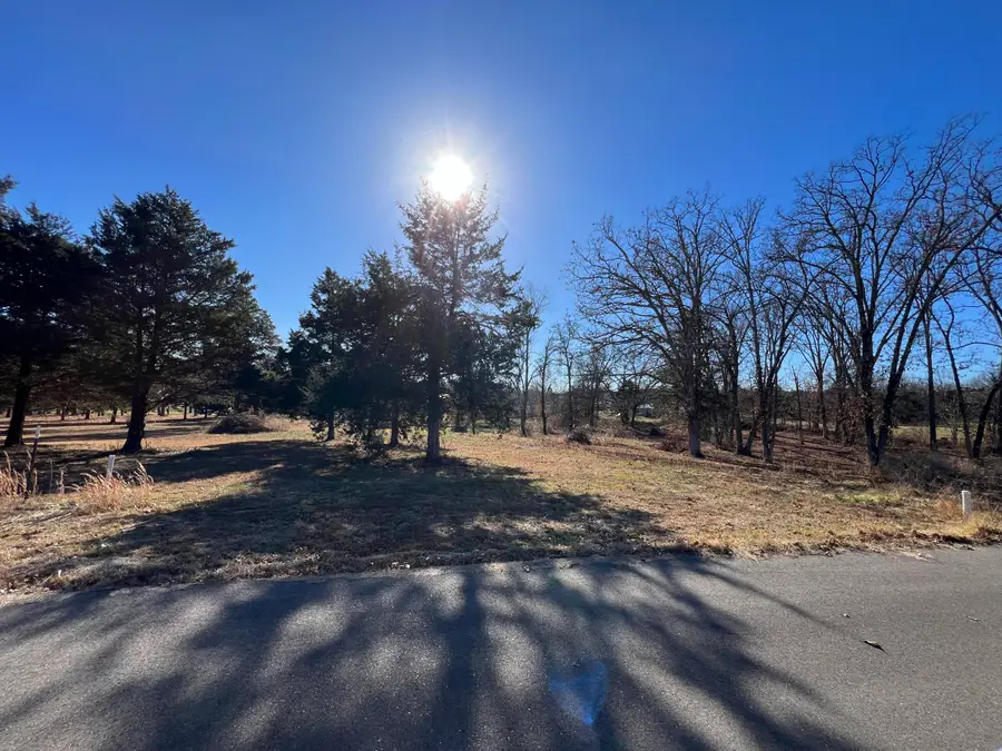 9 Cedar Lane, Willow Springs, MO 65793 - Image #2