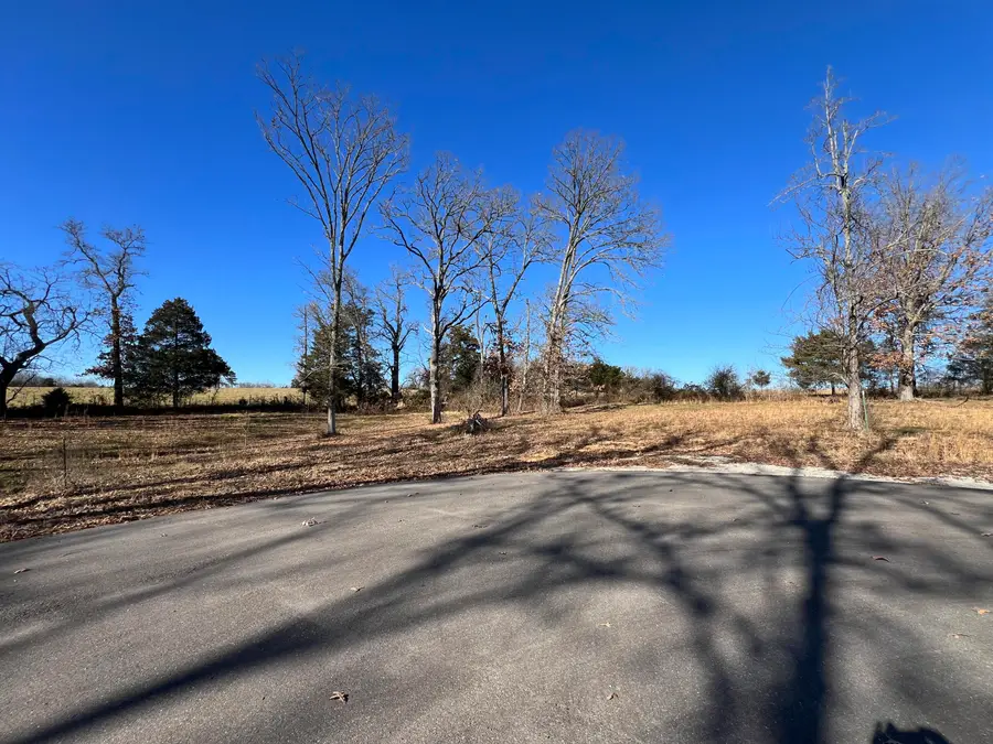 21 Cedar Lane, Willow Springs, MO 65793 - Image #2