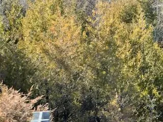 000000 Ozark Scenic, Branson, MO 65616 - Image #2