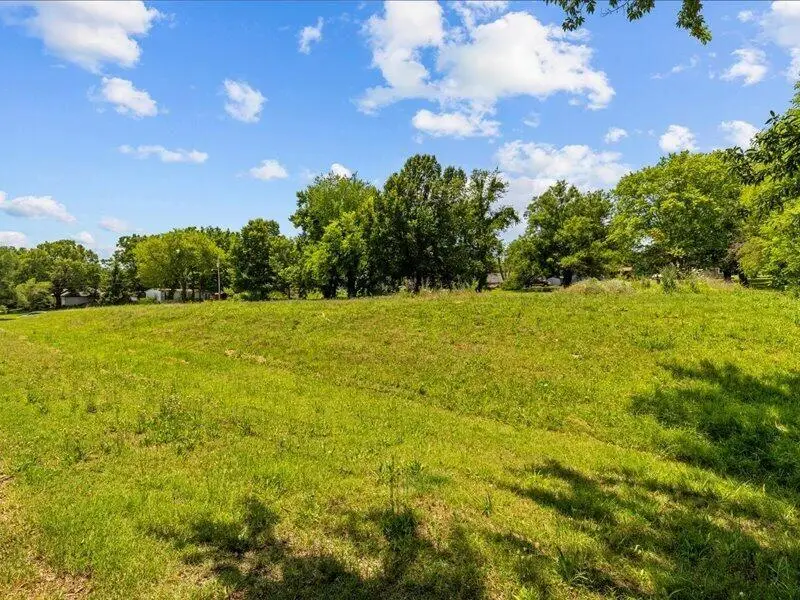 310 Gulf Street, Walnut Grove, MO 65770 - Image #2