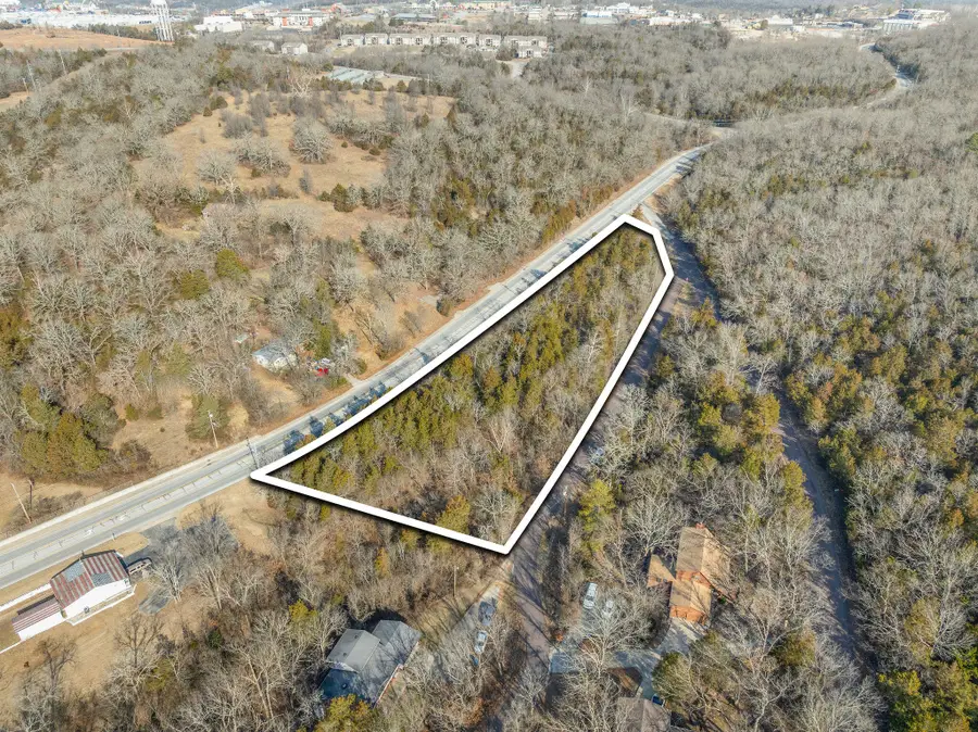 2229 Fall Creek Road, Branson, MO 65616 - #3