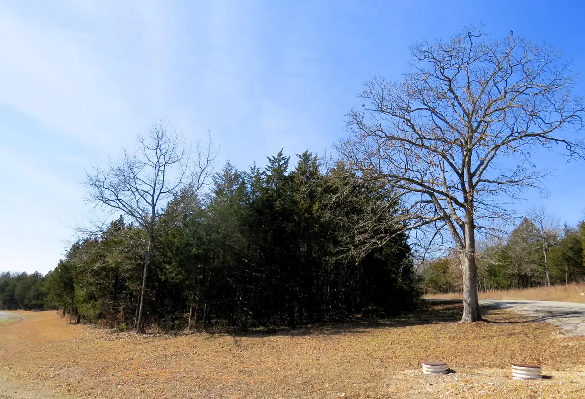 Lot 8 New Eagles Trail, Shell Knob, MO 65747 - Image #1
