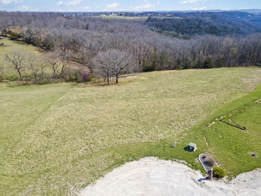 Lot 4 Kelly Crossing, Walnut Shade, MO 65771 - Image #2