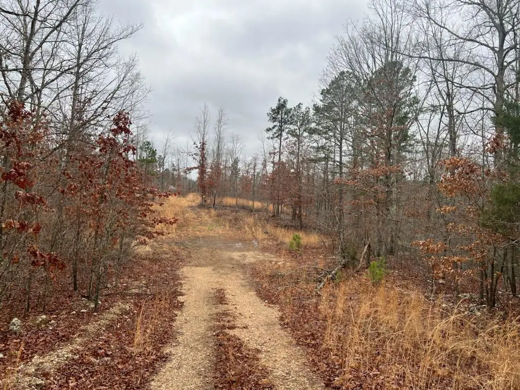 000 Golden Trail, Raymondville, MO 65555 - Image #1