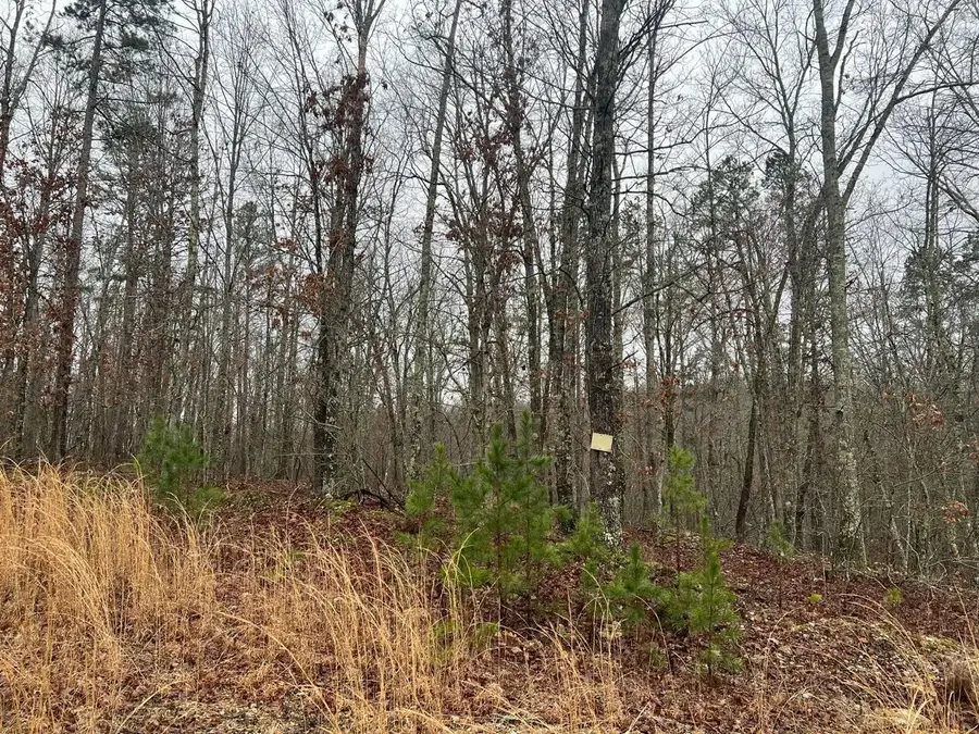 000 Golden Trail, Raymondville, MO 65555 - Image #2