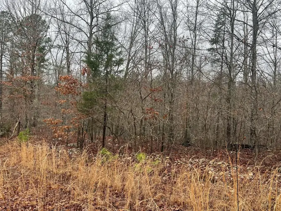 000 Golden Trail, Raymondville, MO 65555 - Image #3