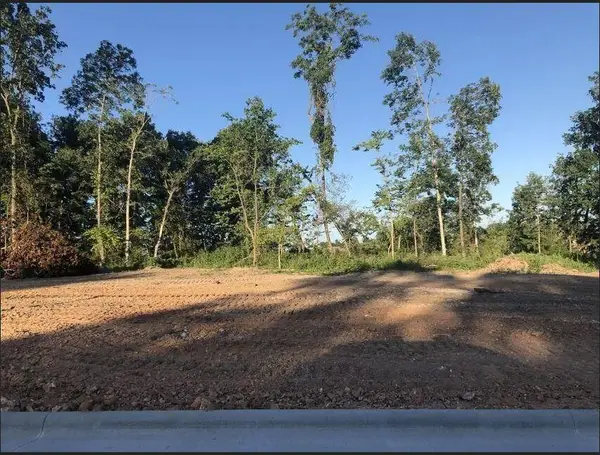 Lot 19 Anthony Park Subdivision Ph 4, Springfield, MO 65810