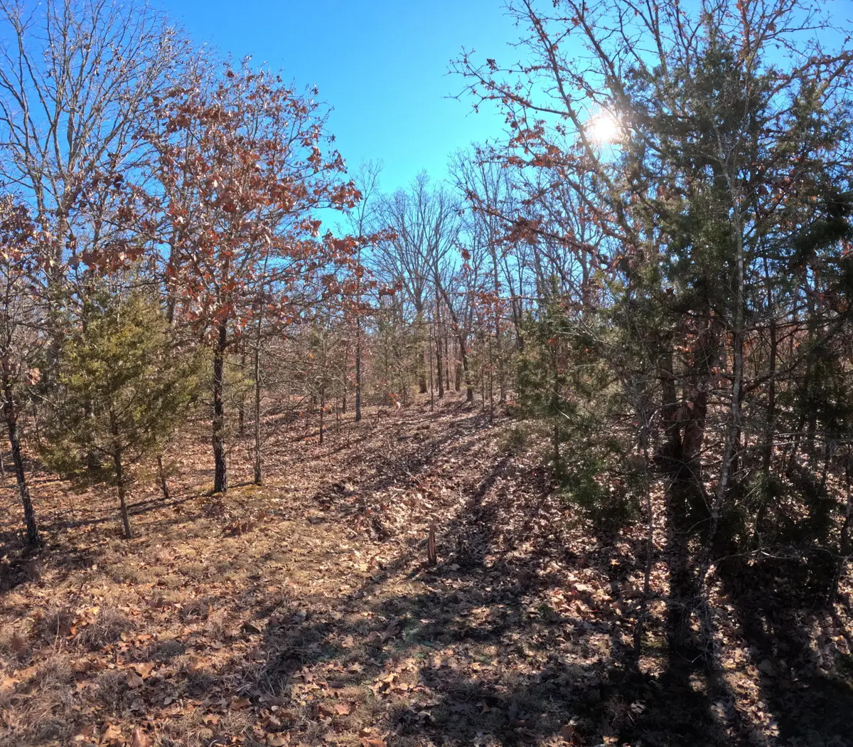 Tract Q Galaxy Lane Lane, Lebanon, MO 65536 - Image #1