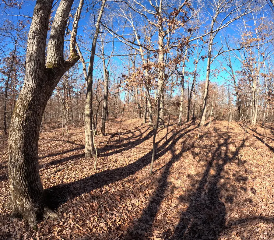 Tract U Greatview Lane, Lebanon, MO 65536 - Image #2