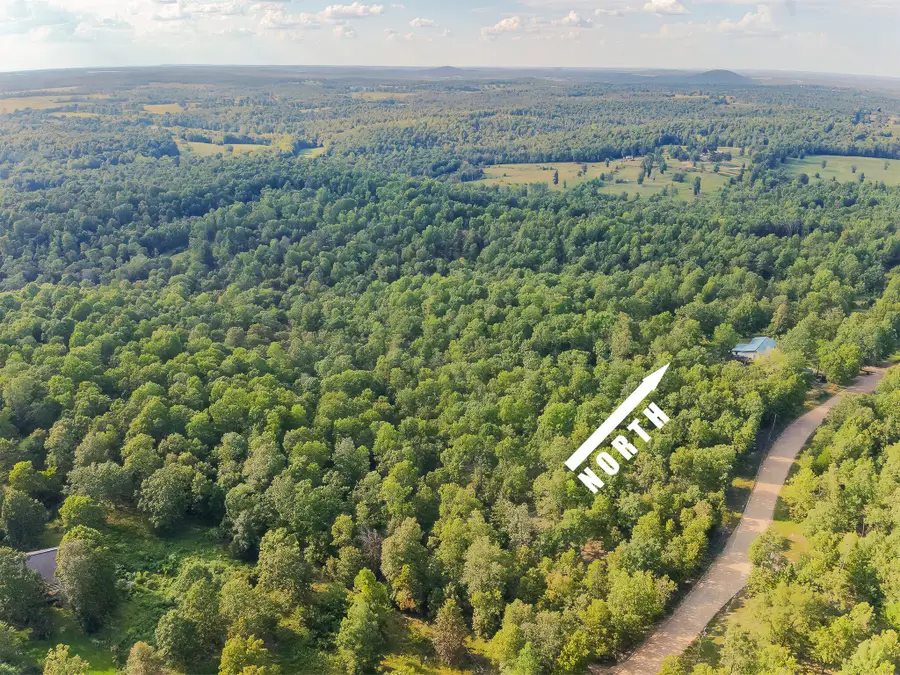 000 Young Road, Salem, AR 72576 - Image #2