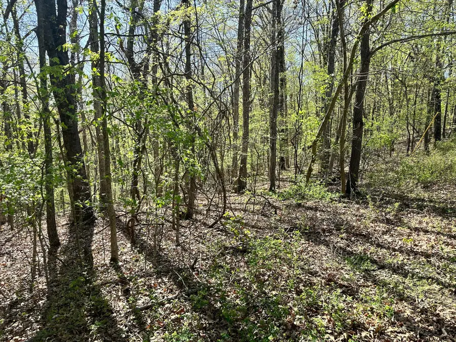 L42a & 43a Eaglecrest Road, Cape Fair, MO 65624 - Image #3