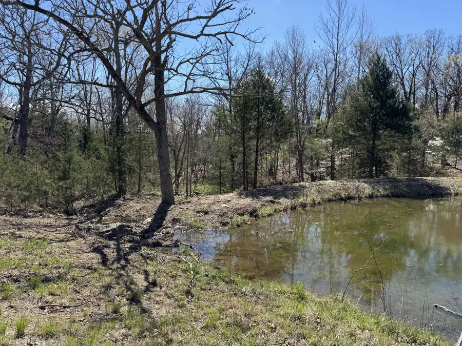 000 E 325th Road, Flemington, MO 65650 - Image #2