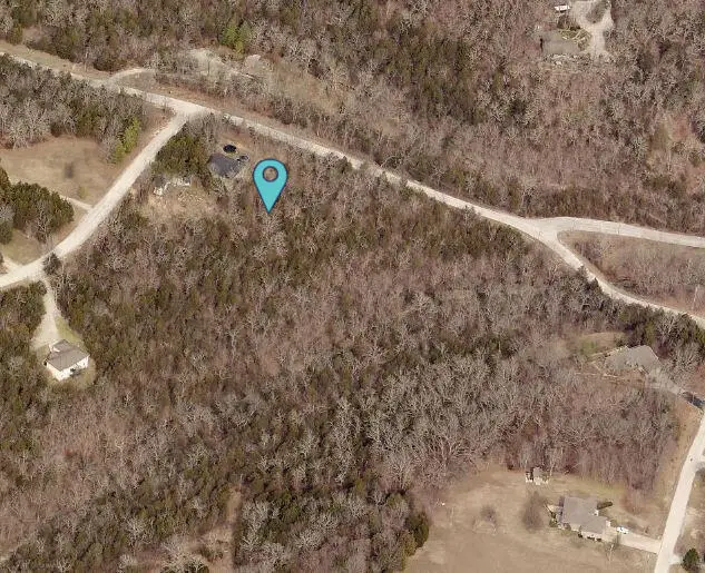 000 Guillian Drive, Branson, MO 65616 - Image #3