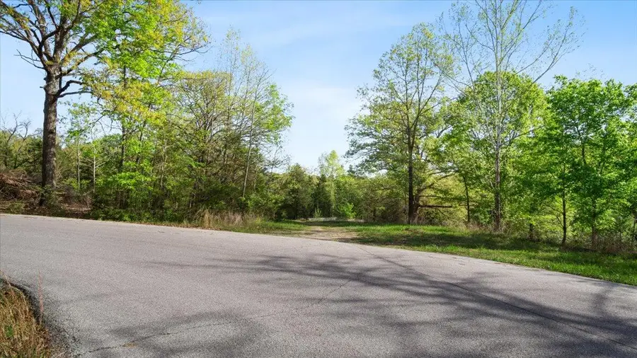 260 Hobart Drive, Forsyth, MO 65653 - Image #3