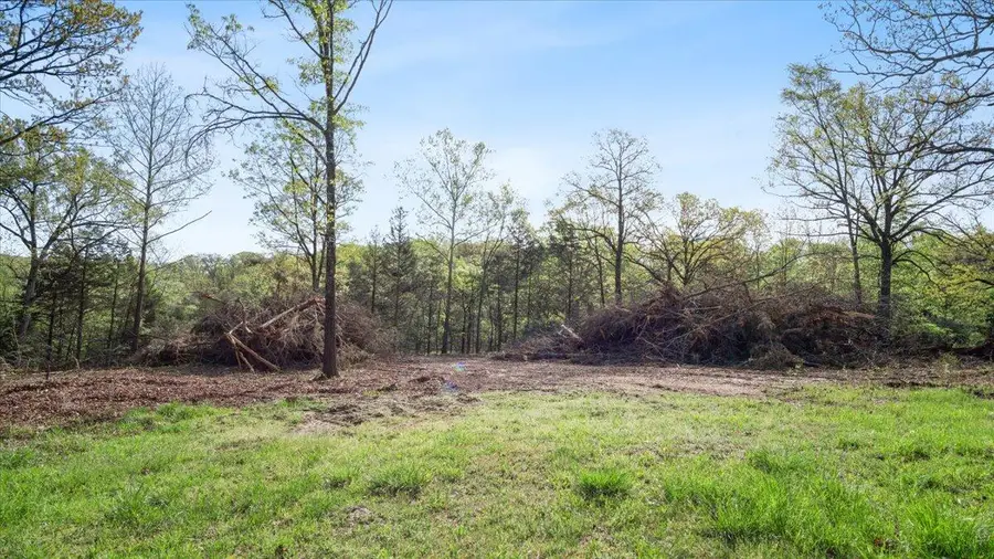 250 Vin Villa, Forsyth, MO 65653 - Image #2