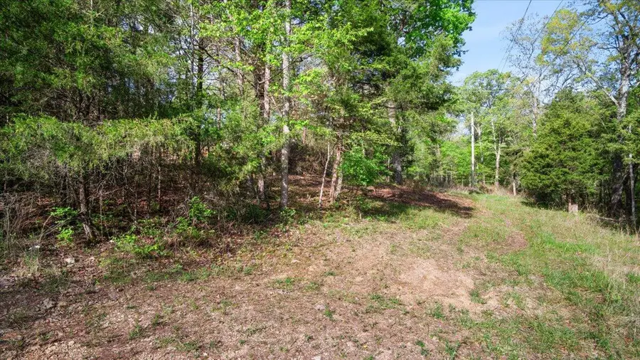 250 Vin Villa, Forsyth, MO 65653 - Image #3