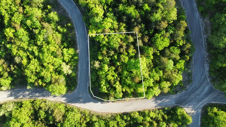 000 Syler Circle, Hollister, MO 65672 - Image #2