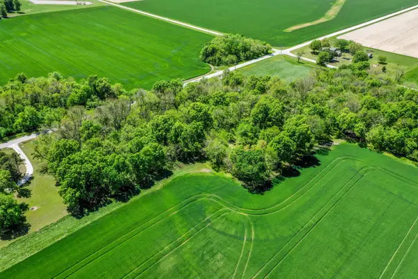 29923 Ivy Road, Carl Junction, MO 64834