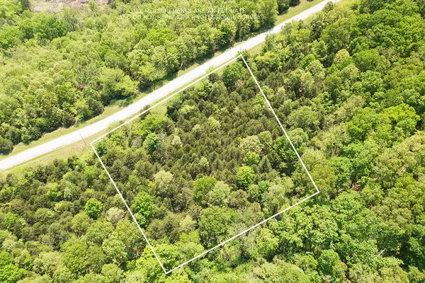 Lot 59 Walnut Springs Drive, Cape Fair, MO 65624