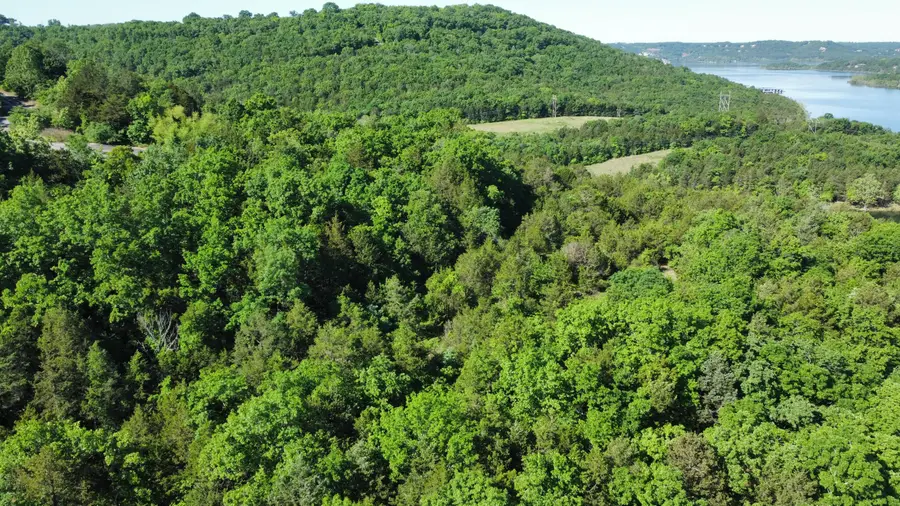 000 Lake Cove Court, Hollister, MO 65672 - Image #2