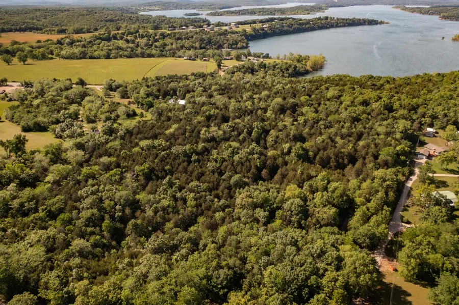 000 Ludora Drive, Lampe, MO 65681 - Image #2