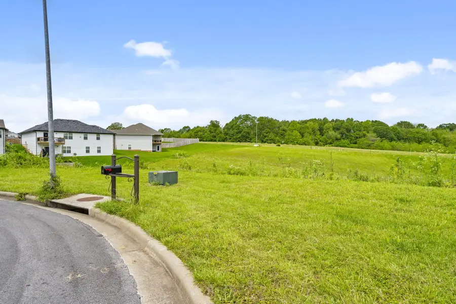 721 Oak Terrace Drive, Nixa, MO 65714 - Image #3