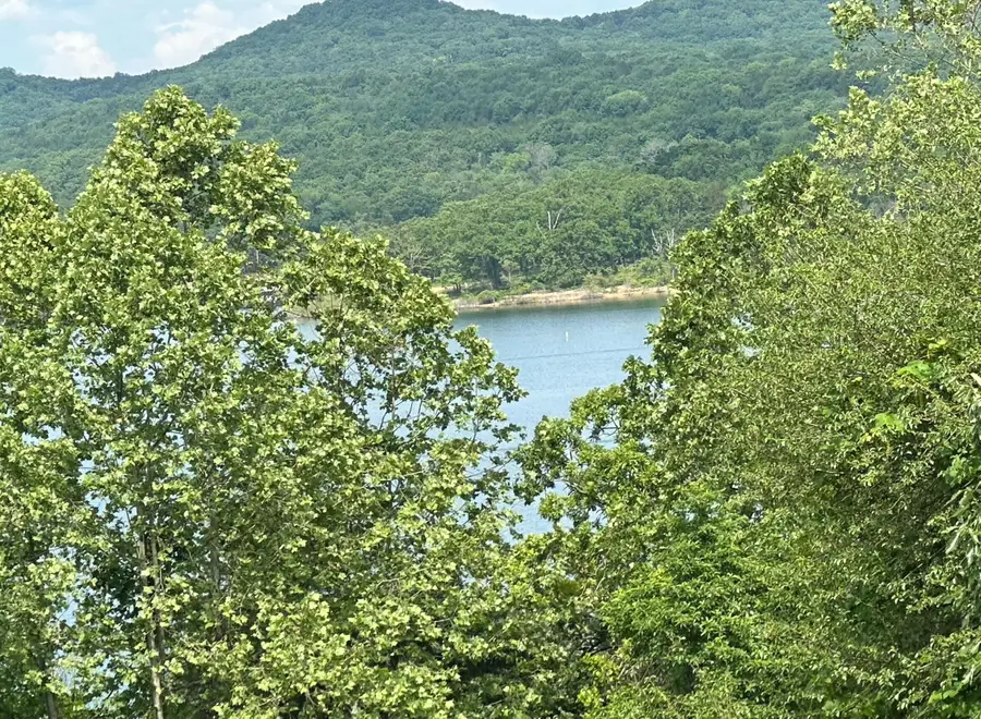 22 Merlot Road, Lampe, MO 65681 - Image #2