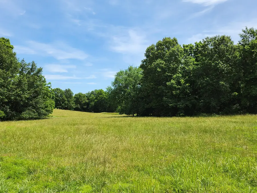 Lot 9 N Farm Road 61, Walnut Grove, MO 65770 - Image #2