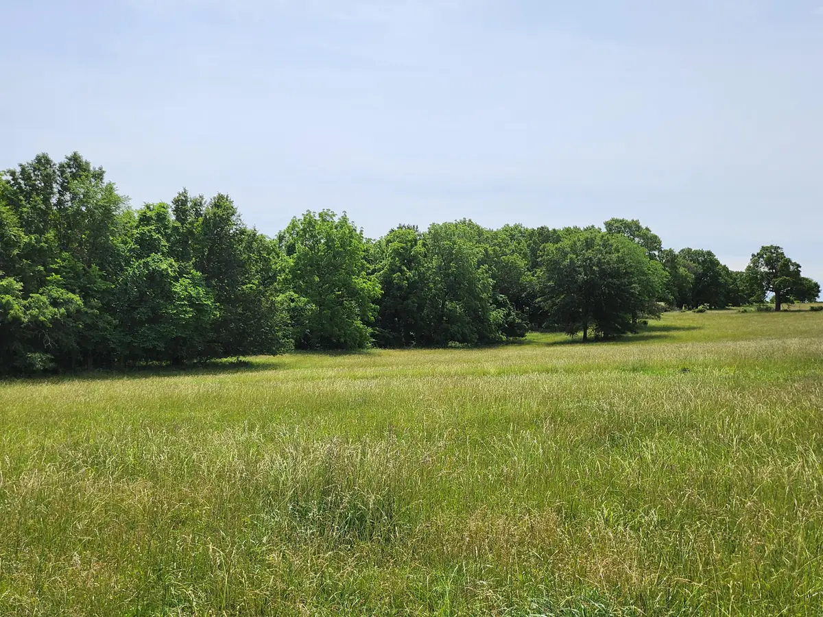 Lot 12 N Farm Road 61, Walnut Grove, MO 65770 - Image #1