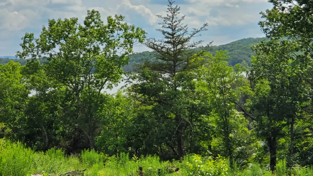 000 Lot 78 Summer Breeze, Kimberling City, MO 65686 - Image #1