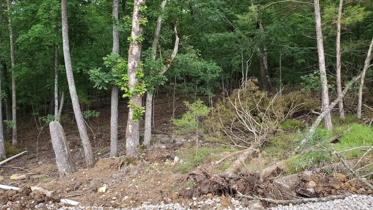 000 Lot 86 Summer Breeze, Kimberling City, MO 65686 - Image #1