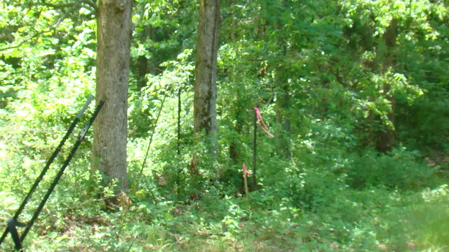 Tbd County Road 3940, Mountain View, MO 65548 - Image #2