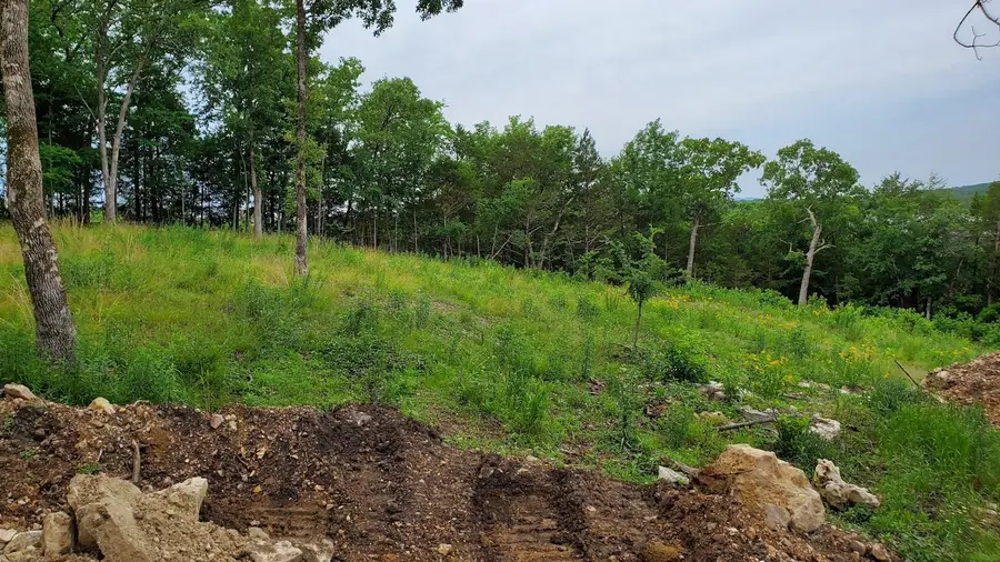 000 Lot 82 Summer Breeze, Kimberling City, MO 65686 - Image #3