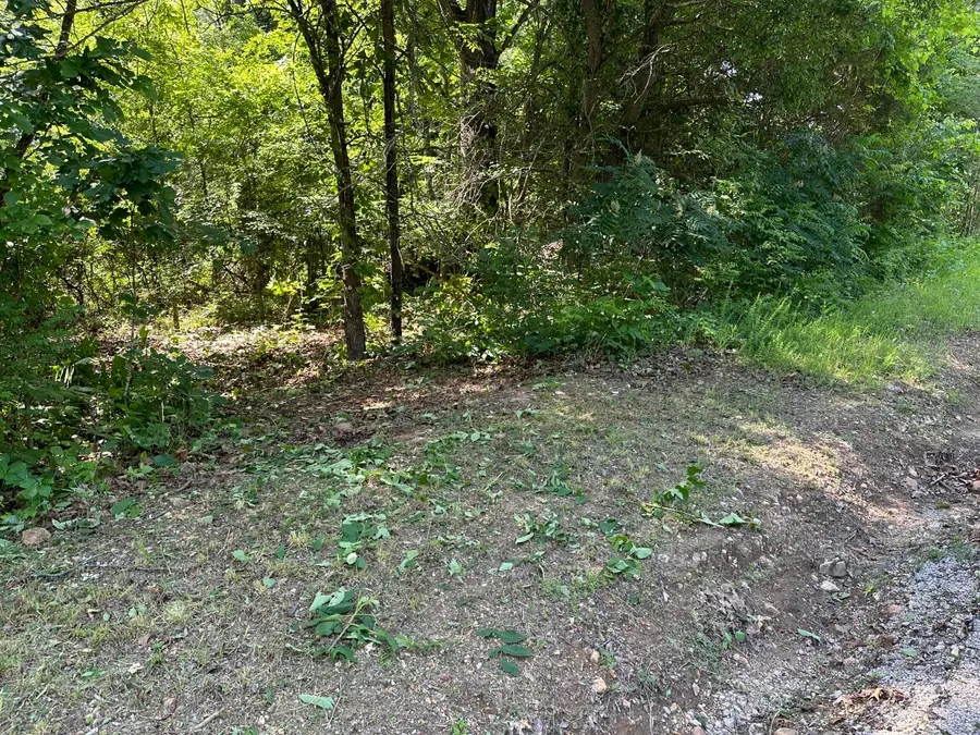Lot 10 Oxford Street, Shell Knob, MO 65747 - Image #3