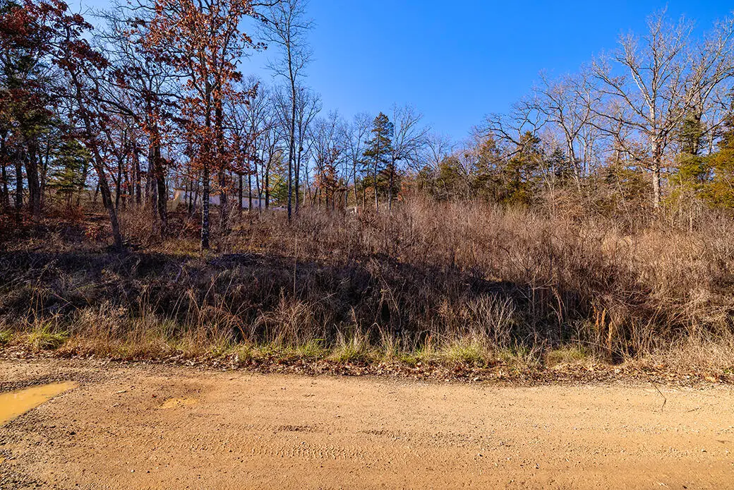 Lot 15 Meadow Lane, Merriam Woods, MO 65740 - Image #1
