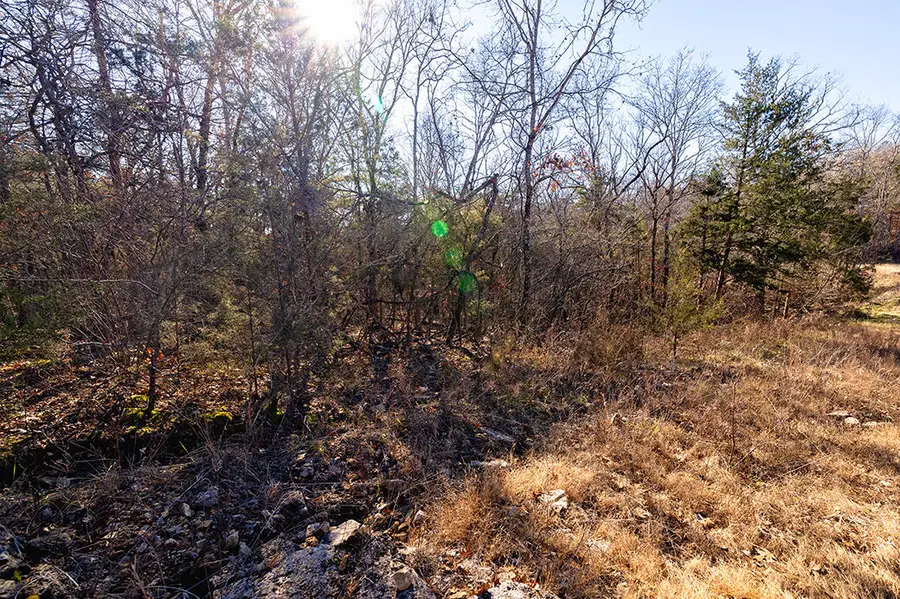Lot 4 Sandstone Road, Merriam Woods, MO 65740 - Image #3