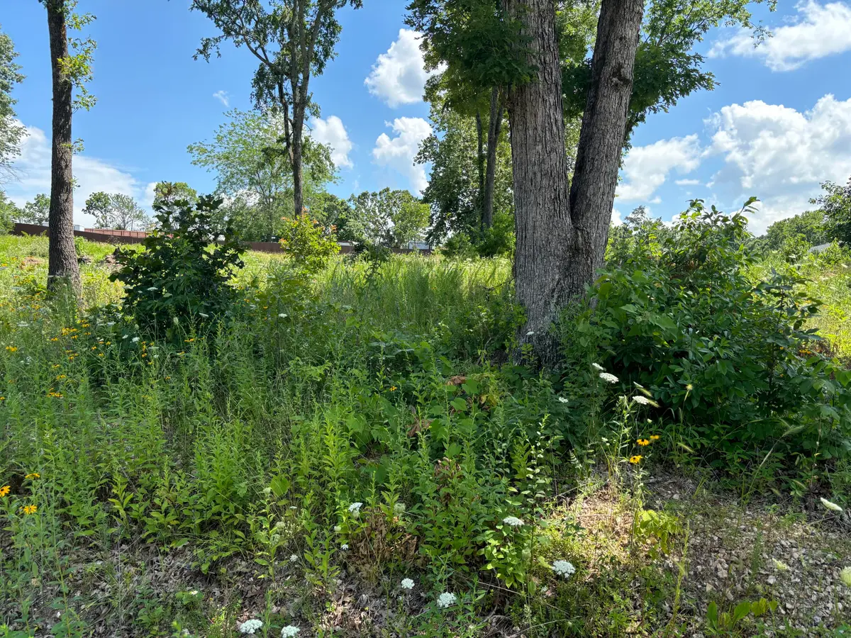 56 Northfork Lane, Shell Knob, MO 65747 - Image #1