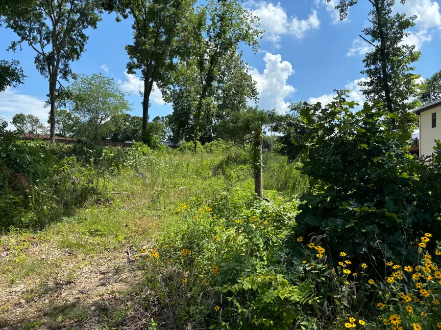 56 Northfork Lane, Shell Knob, MO 65747 - Image #3